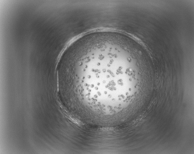 X0000056361223200509161819