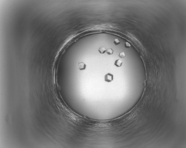 X0000056361224200509161819