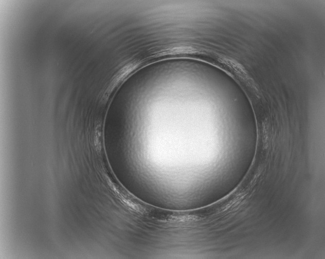 X0000056361225200509161819