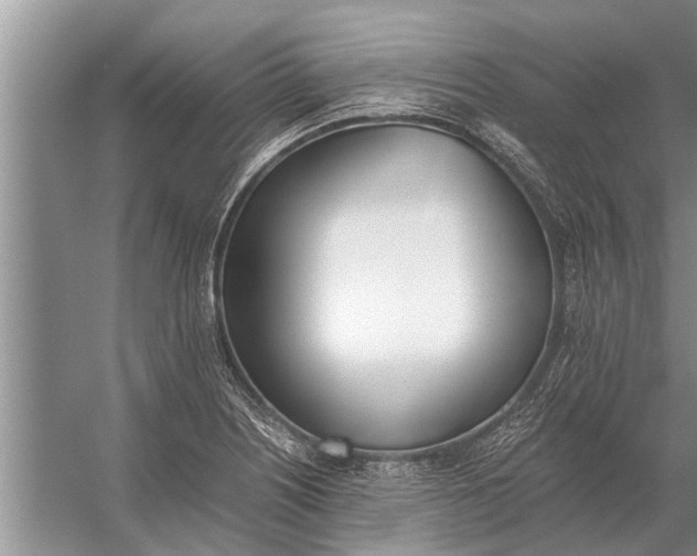 X0000056361226200509161819