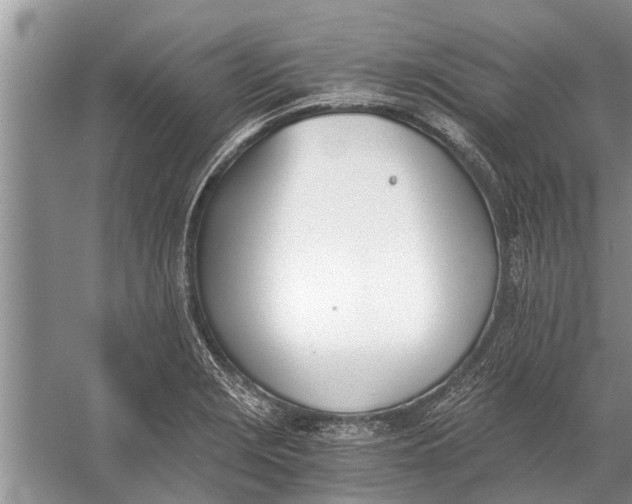 X0000056361229200509161819