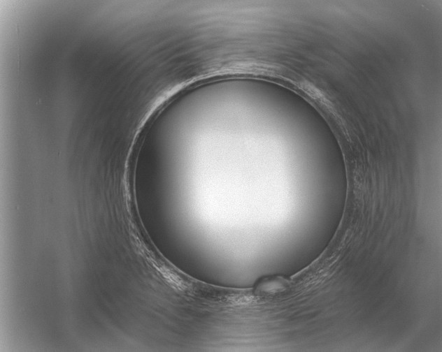 X0000056361230200509161819