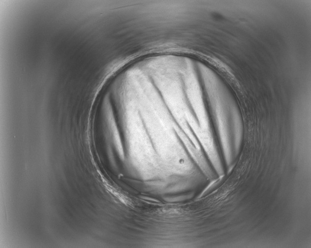 X0000056361231200509161819