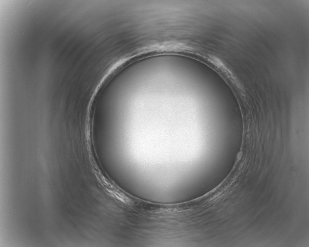 X0000056361232200509161819