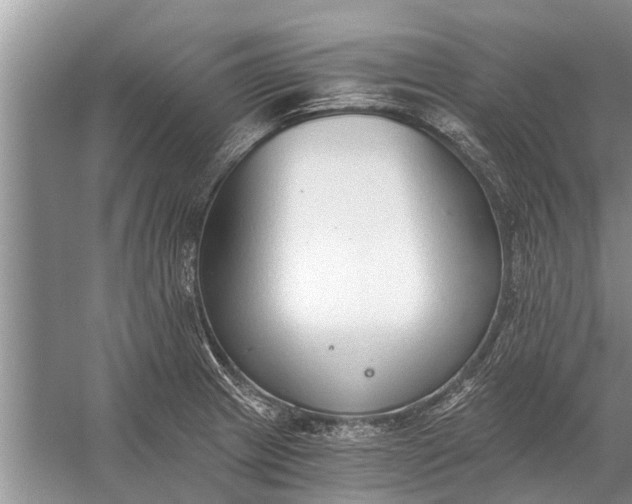 X0000056361233200509161820