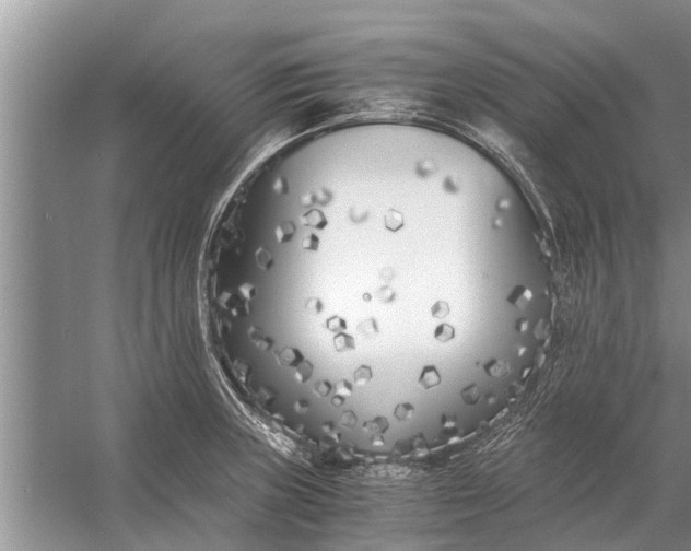 X0000056361235200509161820