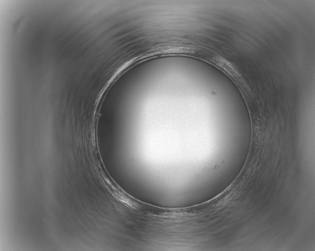 X0000056361236200509161820