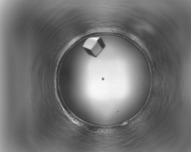 X0000056361237200509161820