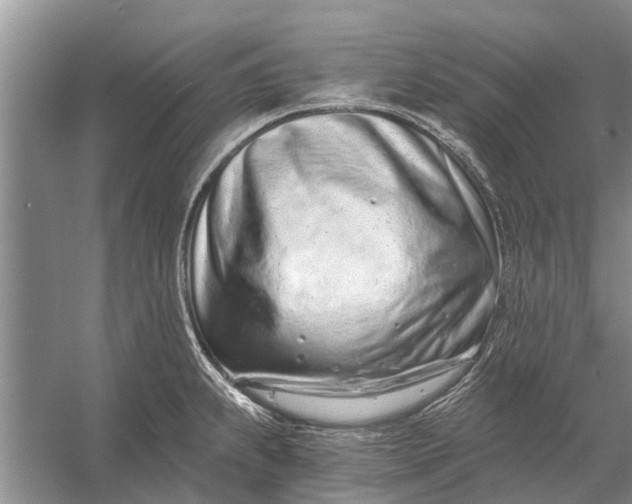 X0000056361239200509161820