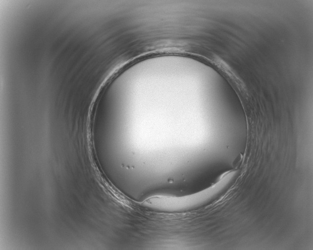 X0000056361240200509161820