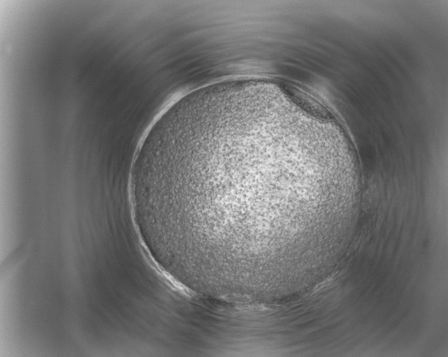 X0000056361243200509161820