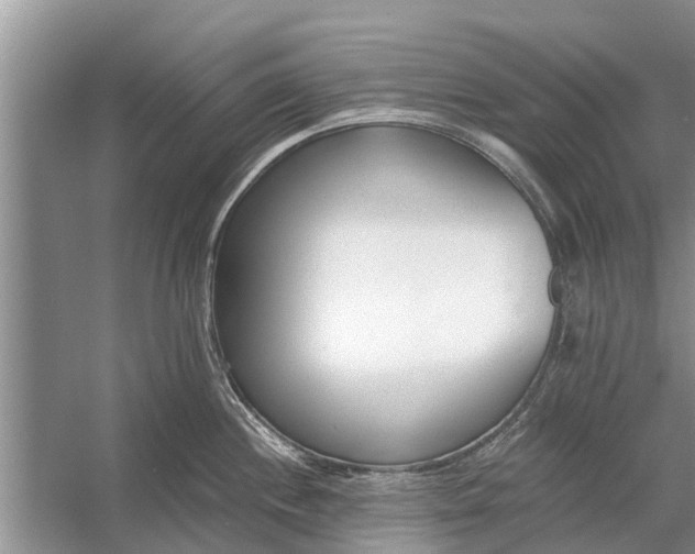 X0000056361244200509161820