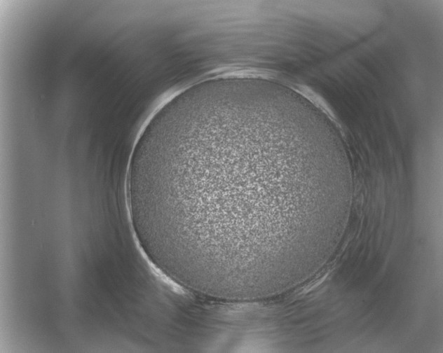 X0000056361247200509161820