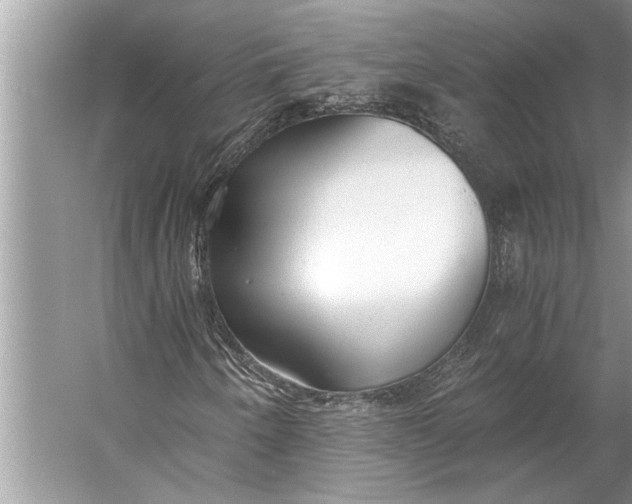 X0000056361250200509161819