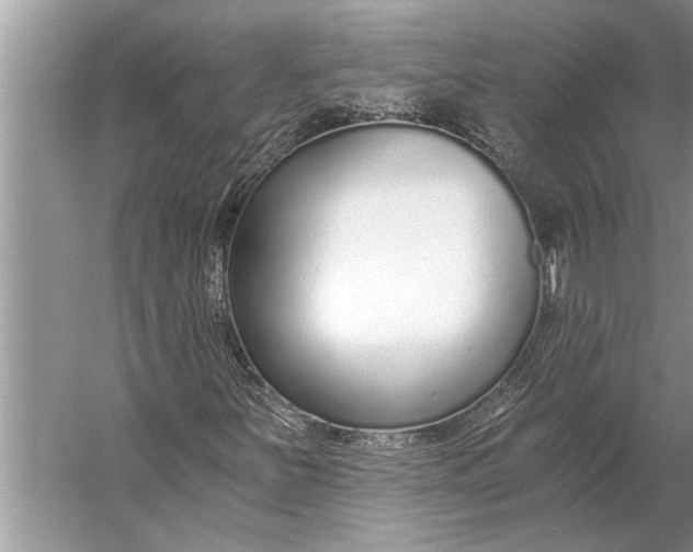 X0000056361251200509161819