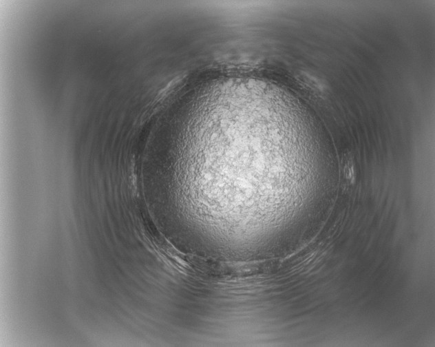 X0000056361252200509161819