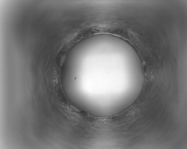 X0000056361253200509161819