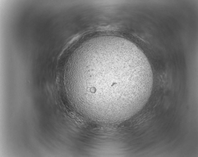 X0000056361254200509161819