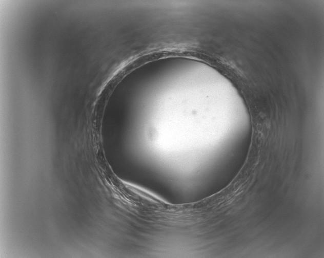 X0000056361256200509161819