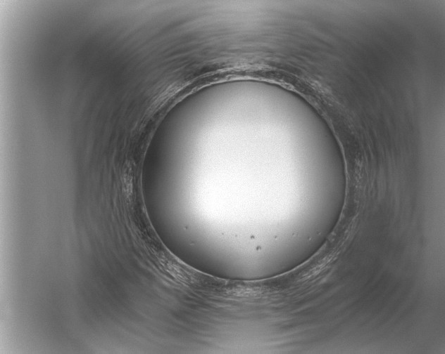 X0000056361257200509161819