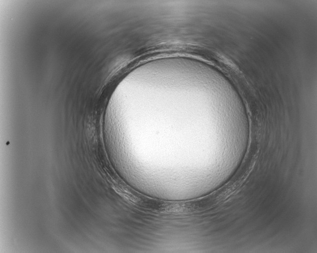 X0000056361259200509161819