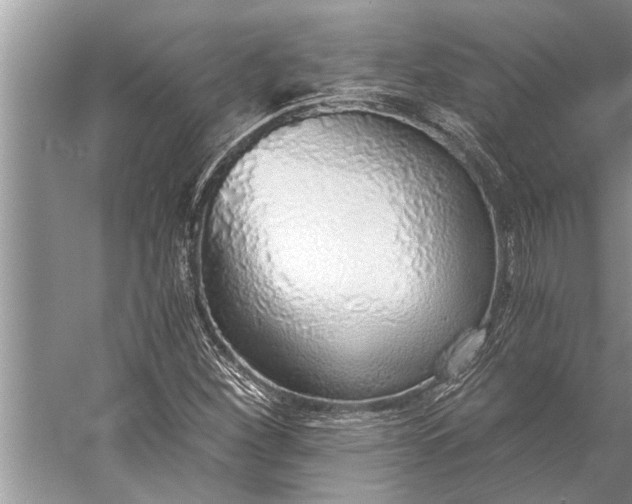 X0000056361260200509161819