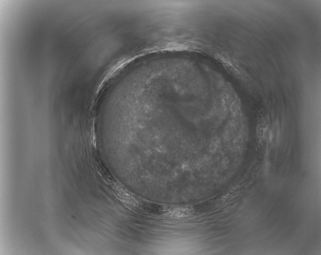 X0000056361262200509161819