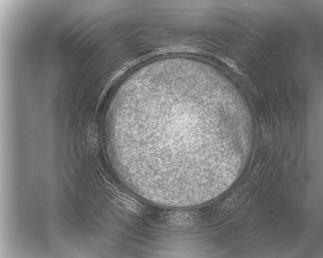 X0000056361266200509161819