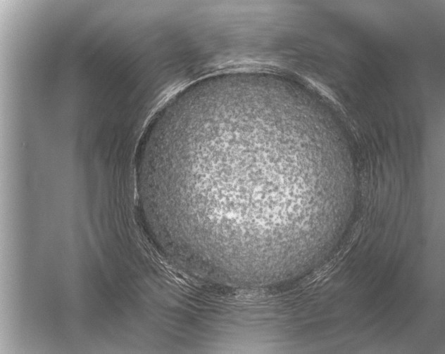 X0000056361267200509161819