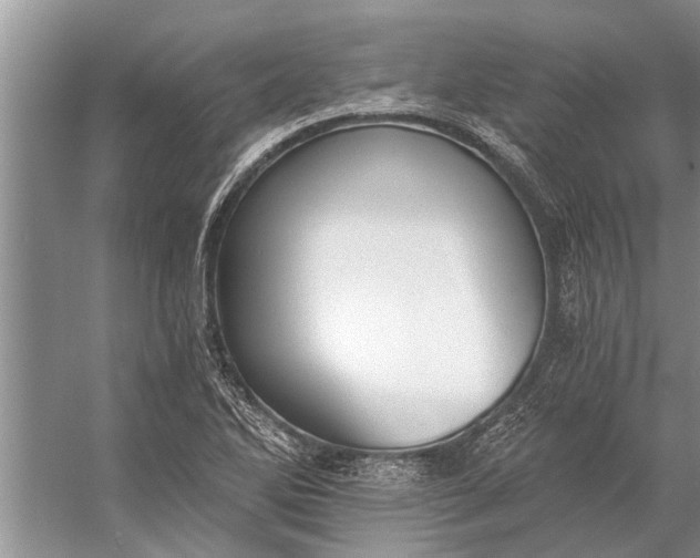 X0000056361270200509161819