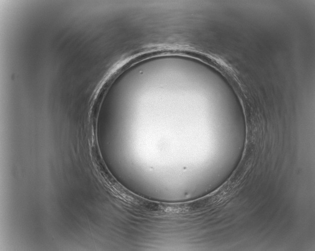 X0000056361271200509161819