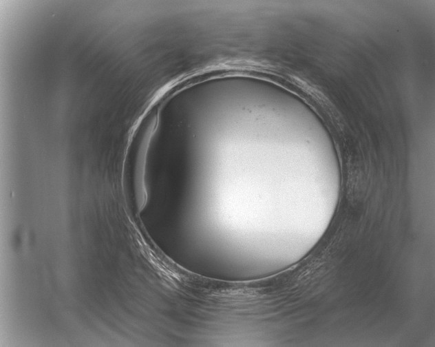 X0000056361272200509161819