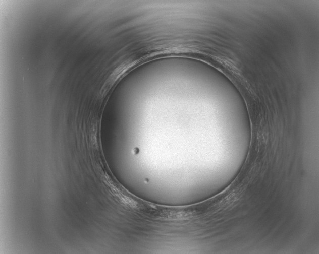 X0000056361273200509161819