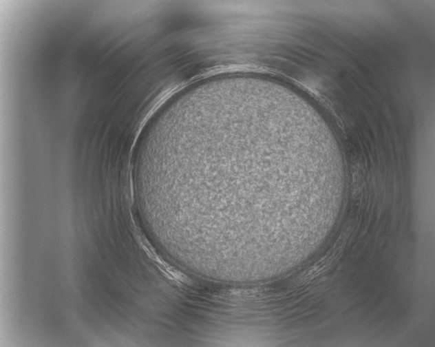 X0000056361274200509161819