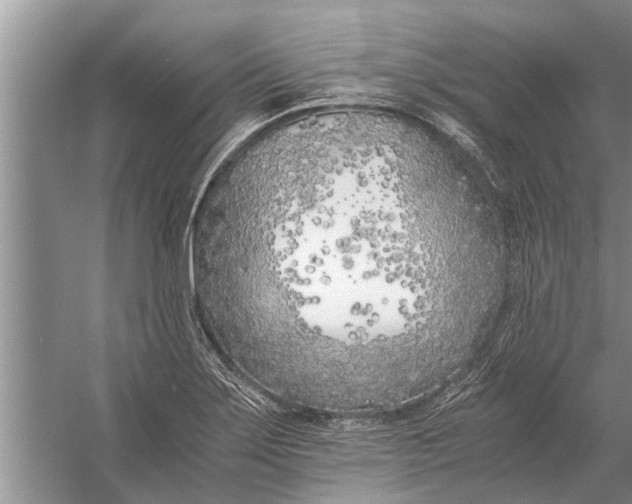 X0000056361275200509161818