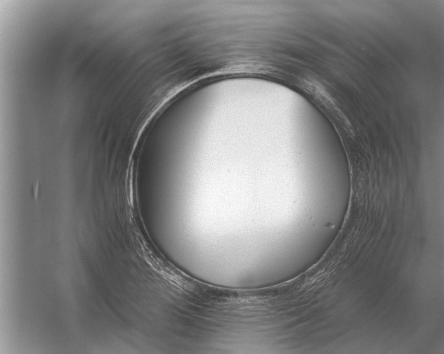 X0000056361276200509161818