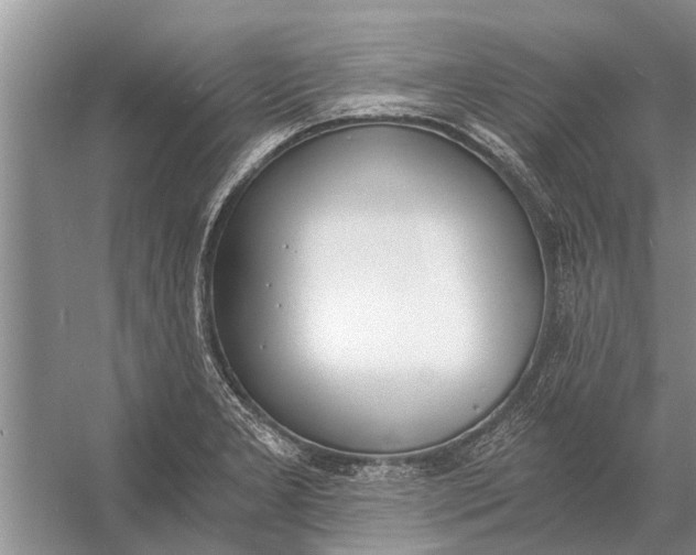 X0000056361277200509161818