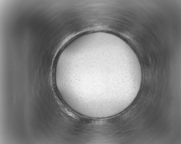 X0000056361278200509161818