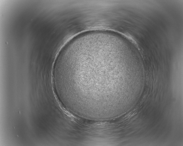 X0000056361279200509161818