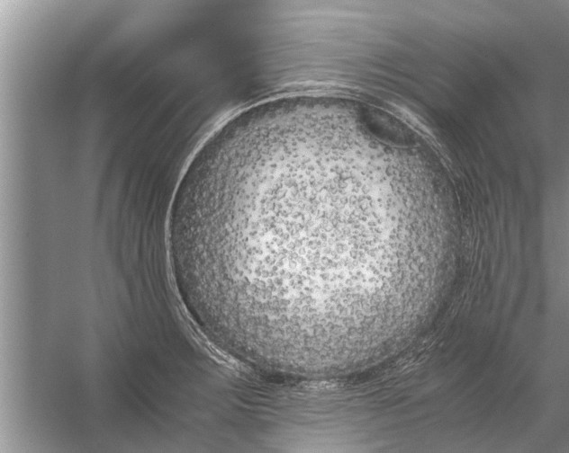 X0000056361283200509161818