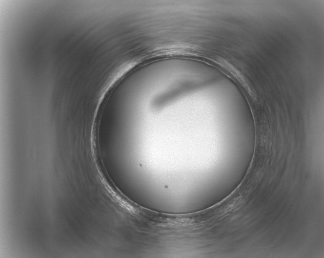 X0000056361285200509161818