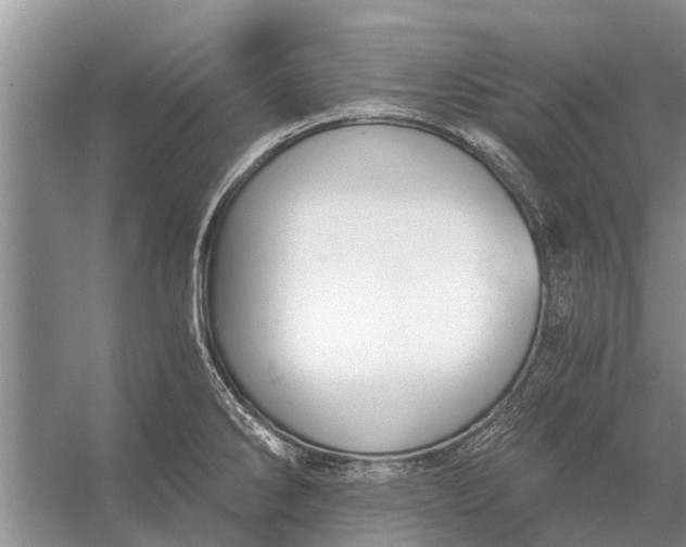 X0000056361286200509161818