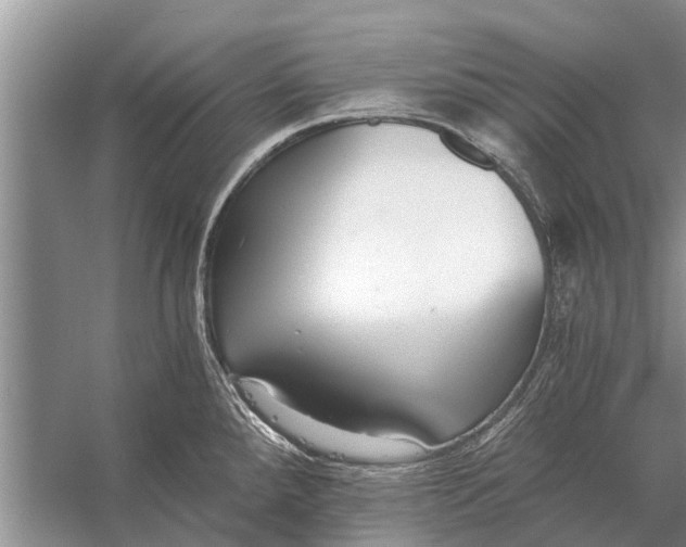 X0000056361288200509161818