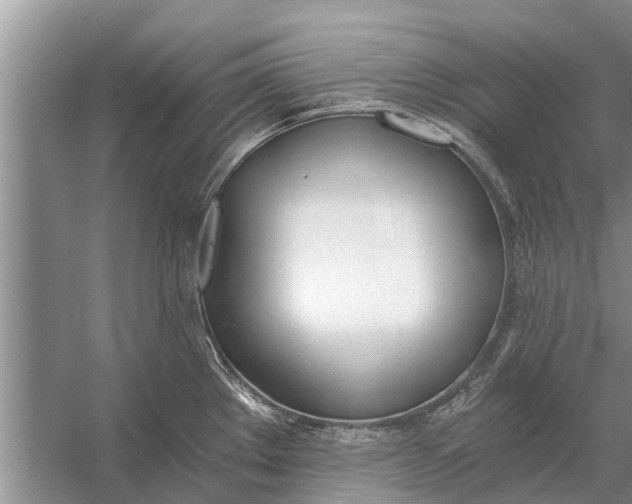 X0000056361289200509161818