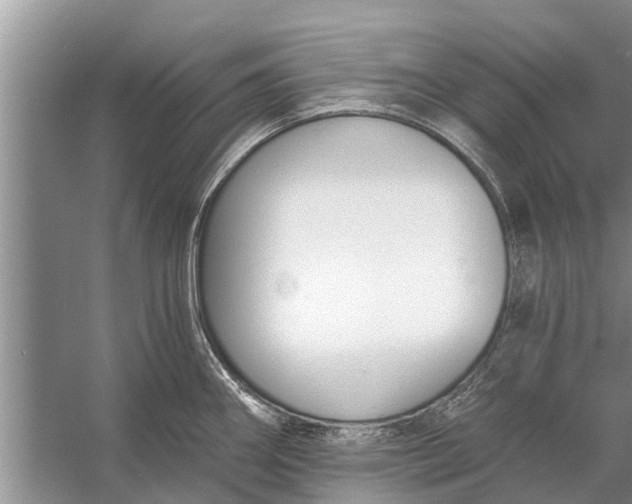 X0000056361290200509161818