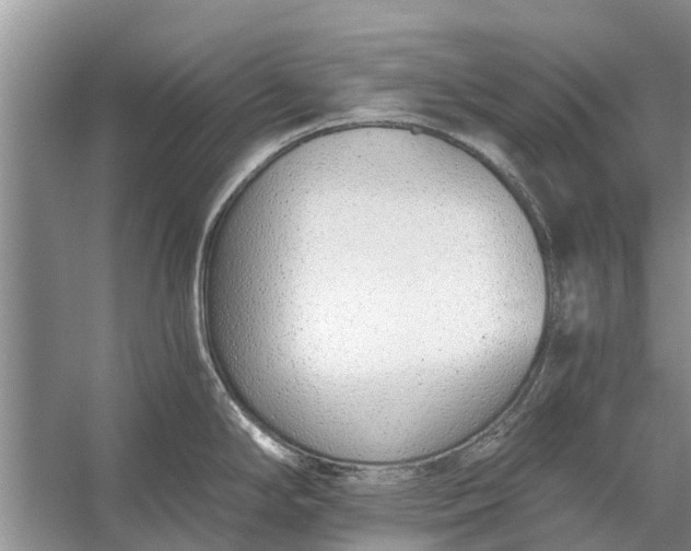 X0000056361294200509161818