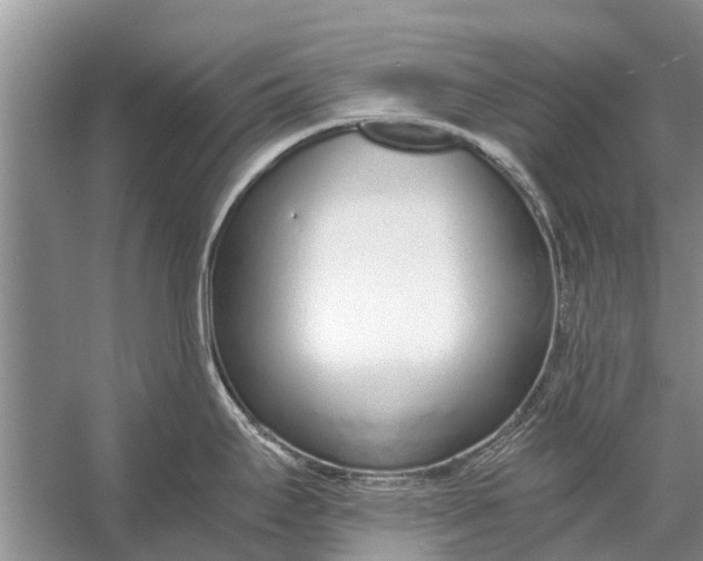 X0000056361295200509161818