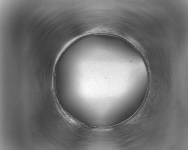 X0000056361296200509161818