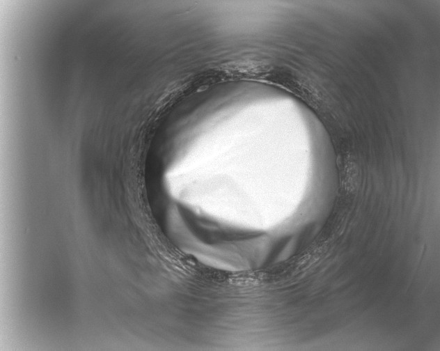 X0000056361297200509161817