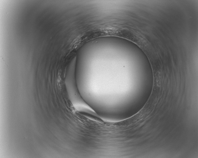 X0000056361298200509161817